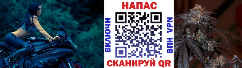 Канабис ГИДРОПОН  блэк спрут ссылка  Голицыно 